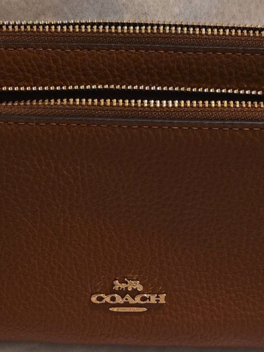 COACH Men's Brown Pebbled Leather Zip Pouch with Gold Hardware